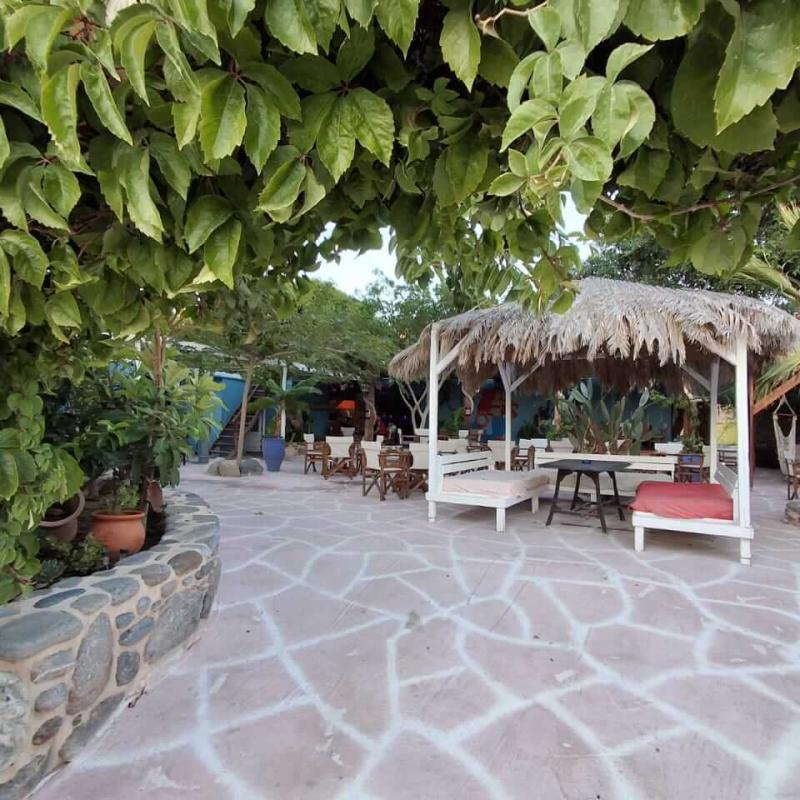 Disco Memory Garden3