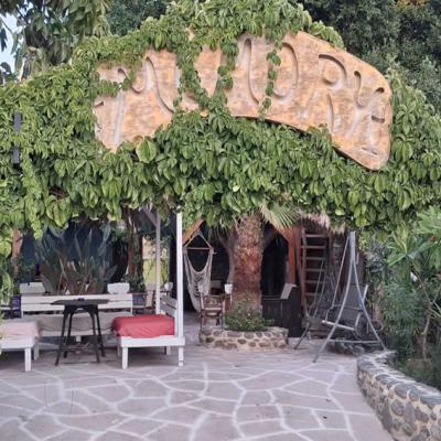 Disco  - Garden by day