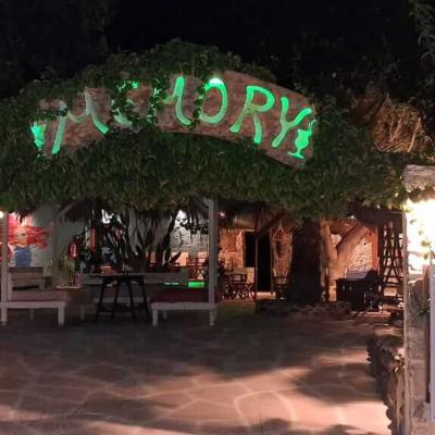 Disco - Garden by night